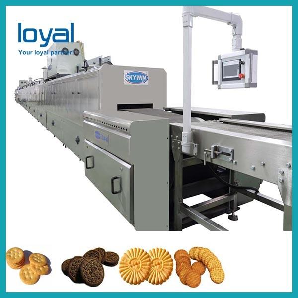 Auto Small Biscuit Making Machine Rotary Mould Biscuit Production Line