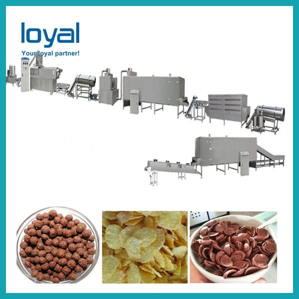 2019 New Big Capacity Automatic Oatmeal Flakes Processing Line